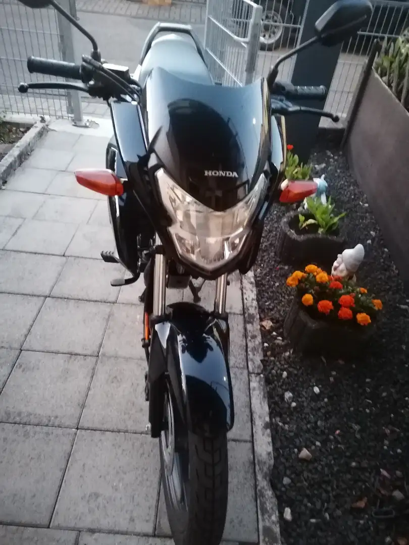 Honda CBF 125 Schwarz - 2