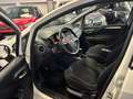 Fiat Punto 5p 1.4  Gpl E6 ADATTA PER  NEOPATENTATI Bianco - thumbnail 6