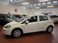 Fiat Punto 5p 1.4  Gpl E6 ADATTA PER  NEOPATENTATI Bianco - thumbnail 3