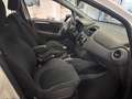 Fiat Punto 5p 1.4  Gpl E6 ADATTA PER  NEOPATENTATI Bianco - thumbnail 15