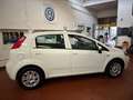 Fiat Punto 5p 1.4  Gpl E6 ADATTA PER  NEOPATENTATI Bianco - thumbnail 5