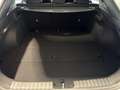 Kia ProCeed / pro_cee'd 1.5 T-GDi 140ch GT-line DCT7 Weiß - thumbnail 13
