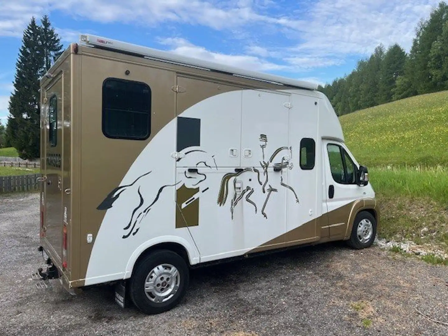 Fiat Ducato Maxi L3 Autm. Weiß - 1