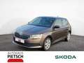 Skoda Fabia 1.0 Cool Plus Klima DAB Winter-Paket Braun - thumbnail 1