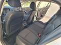 Renault Megane 1.5 dci  110cv "BERLINA" PERFETTA Bianco - thumbnail 11