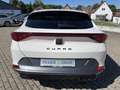 CUPRA Formentor VZ 1.4 e-Hybrid 19" eHECK FaPa-XL PANO Weiß - thumbnail 8