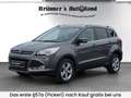 Ford Kuga Kuga 1,6 EcoBoost Trend Trend Grau - thumbnail 1
