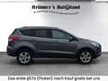 Ford Kuga Kuga 1,6 EcoBoost Trend Trend Grau - thumbnail 6