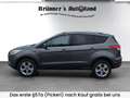 Ford Kuga Kuga 1,6 EcoBoost Trend Trend Grau - thumbnail 5