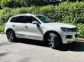 Volkswagen Touareg Touareg 3,0 R-Line AHK Luft Stdhzg Pano 360 Grad Weiß - thumbnail 9