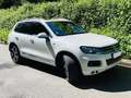 Volkswagen Touareg Touareg 3,0 R-Line AHK Luft Stdhzg Pano 360 Grad Weiß - thumbnail 6