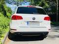 Volkswagen Touareg Touareg 3,0 R-Line AHK Luft Stdhzg Pano 360 Grad Weiß - thumbnail 8