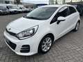Kia Rio 1.4 CVVT ExecutiveLine Camera Bluetooth Navi Pdc Weiß - thumbnail 7