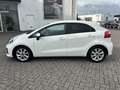 Kia Rio 1.4 CVVT ExecutiveLine Camera Bluetooth Navi Pdc Weiß - thumbnail 8