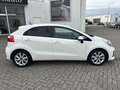 Kia Rio 1.4 CVVT ExecutiveLine Camera Bluetooth Navi Pdc Weiß - thumbnail 9