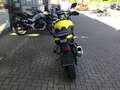 Suzuki V-Strom 800DE MJ 25, 84 PS Jaune - thumbnail 4