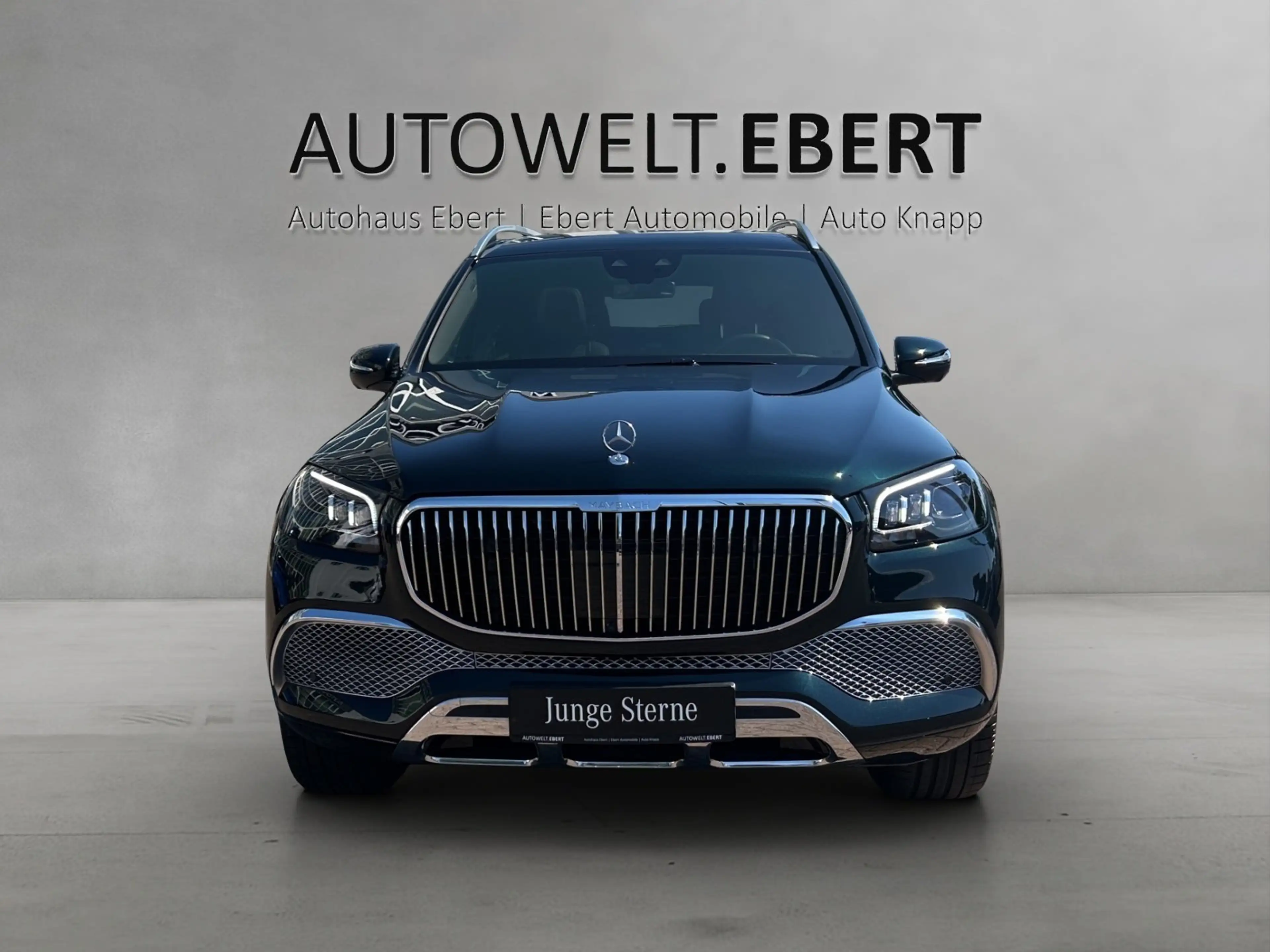 Mercedes-Benz GLS 600 Mercedes-Benz GLS 600 Maybach VOLL! First Class — photo 6