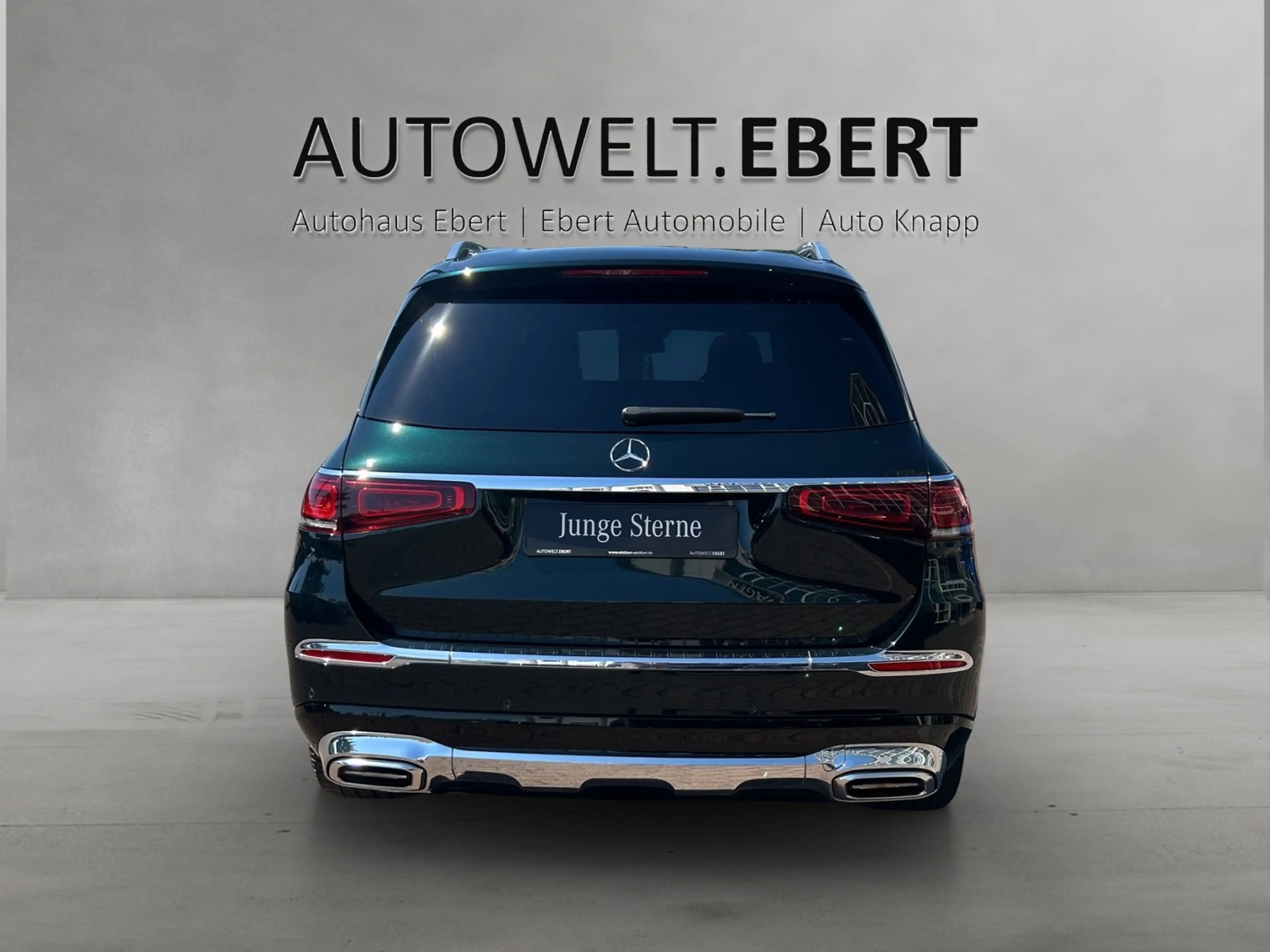Mercedes-Benz GLS 600 Mercedes-Benz GLS 600 Maybach VOLL! First Class — photo 4