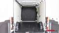 Ford Transit Transit Kasten 2,0 EcoBlue L2H2 290 Startup Weiß - thumbnail 8