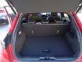 Ford Puma Puma II 2020 1.0 ecoboost h ST-Line s Rosso - thumbnail 15