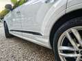 Audi Q7 50 3.0 tdi mhev Sport quattro tiptronic 7p.ti - thumbnail 4