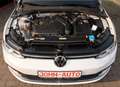 Volkswagen Golf VIII Lim. Style *1.Hd*Standheizung*Kamera* Weiß - thumbnail 3