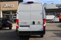Fiat Ducato Ducato MAXI Doka L4H3 140 Aut. 5Sitze Flex Einz... Grau - thumbnail 16