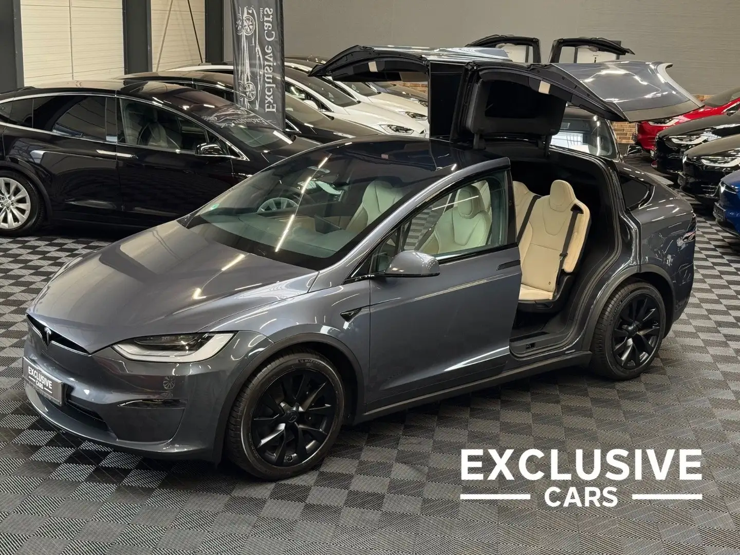 Tesla Model X MODEL X PALLADIUM |  HARDWARE 4 | CREAM SEATS | Grau - 1