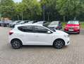 Dacia Sandero Tce Eco-G Comfort Klima/PDC/LED/GJR Weiß - thumbnail 4