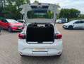 Dacia Sandero Tce Eco-G Comfort Klima/PDC/LED/GJR Weiß - thumbnail 9