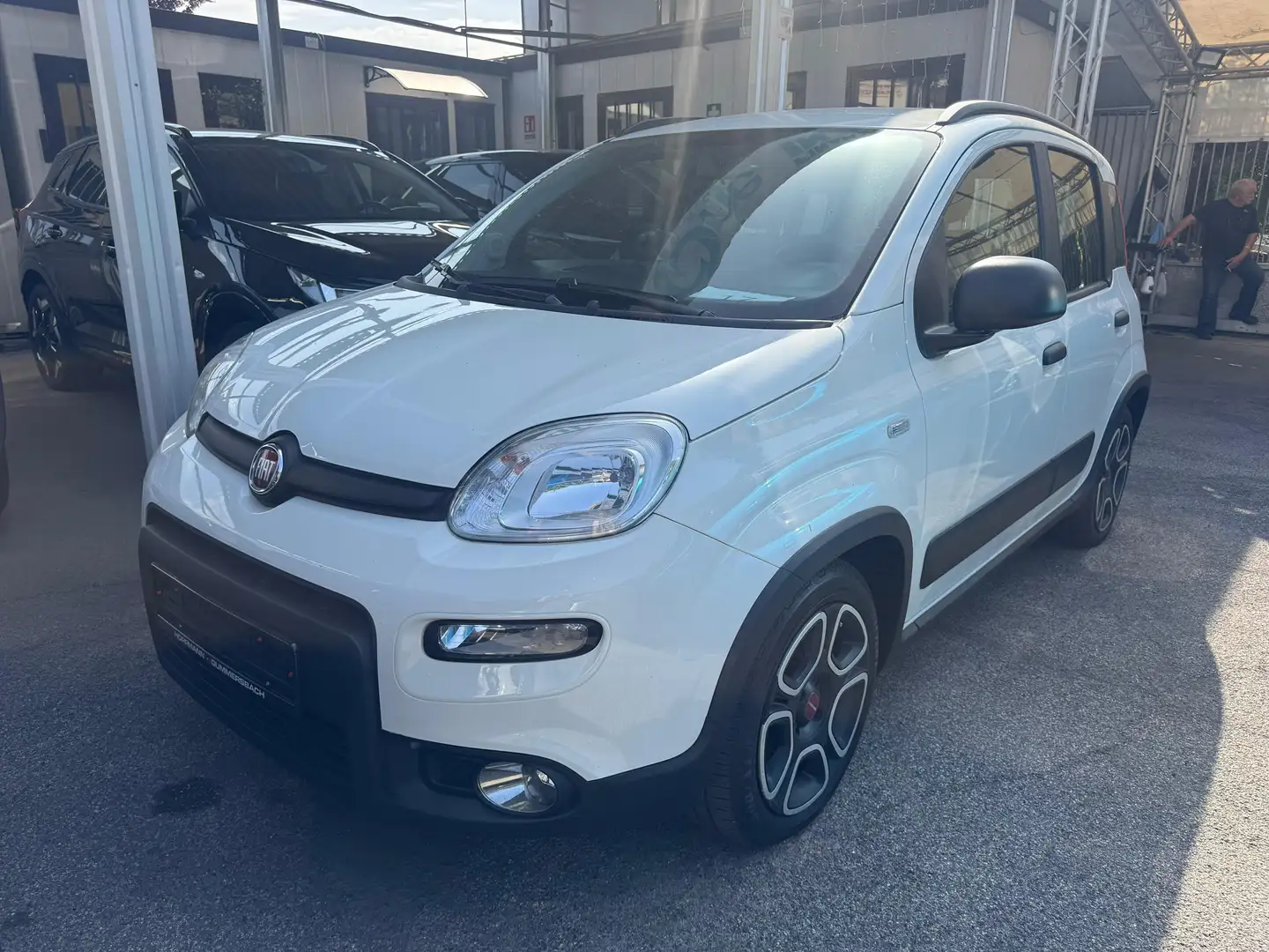 Fiat Panda Panda City Life 1.0 HB Blanc - 1