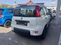 Fiat Panda Panda City Life 1.0 HB Blanc - thumbnail 4