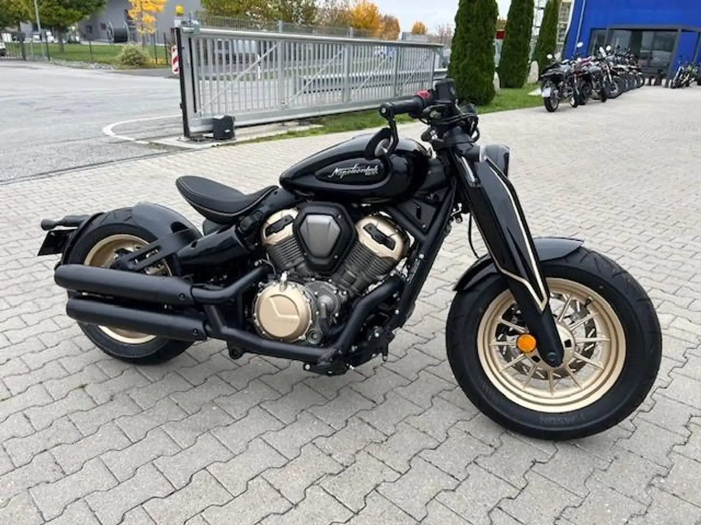 Benda Napoleonbob 500 - 2025 - Neu - 1