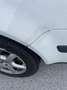 Volkswagen Bora Bora 1,6 Trendline Aut. Wit - thumbnail 26