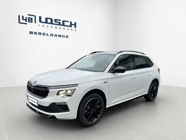 Skoda Kamiq view 3