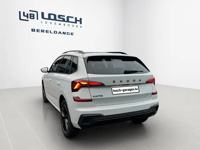 Skoda Kamiq view 5