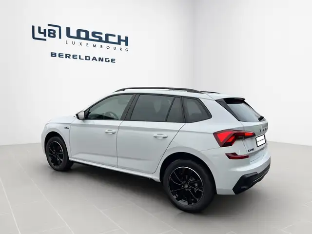 Skoda Kamiq view 4