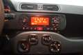 Fiat Panda 1.2 Easy Rosso - thumbnail 11