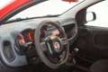 Fiat Panda 1.2 Easy Rosso - thumbnail 14