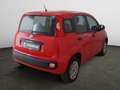 Fiat Panda 1.2 Easy Rosso - thumbnail 6
