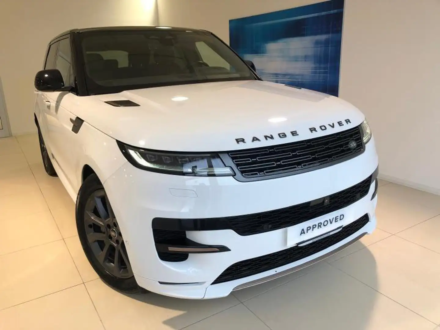 Land Rover Range Rover Sport 3ª serie 3.0D l6 249CV Dyn. SE - 1