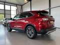 Ford Kuga 2.5 PHEV 165kW Titanium|Camera|Driver Assistance P Rojo - thumbnail 22