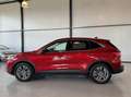 Ford Kuga 2.5 PHEV 165kW Titanium|Camera|Driver Assistance P Rojo - thumbnail 8