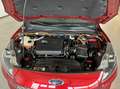 Ford Kuga 2.5 PHEV 165kW Titanium|Camera|Driver Assistance P Rojo - thumbnail 18