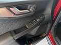 Ford Kuga 2.5 PHEV 165kW Titanium|Camera|Driver Assistance P Rojo - thumbnail 27