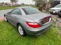 Mercedes-Benz SLK SLK 1.8 Slk200 Kompressor HARMAN KARDON / PDC Grijs - thumbnail 8