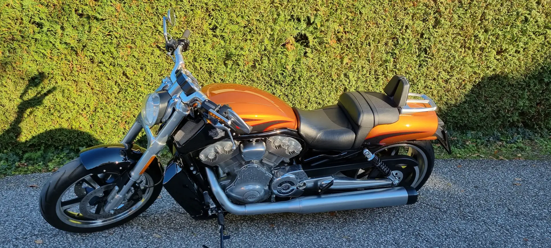 Harley-Davidson V-Rod V-Rod Muscle VRCF Orange - 2