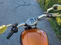 Harley-Davidson V-Rod V-Rod Muscle VRCF Orange - thumbnail 9