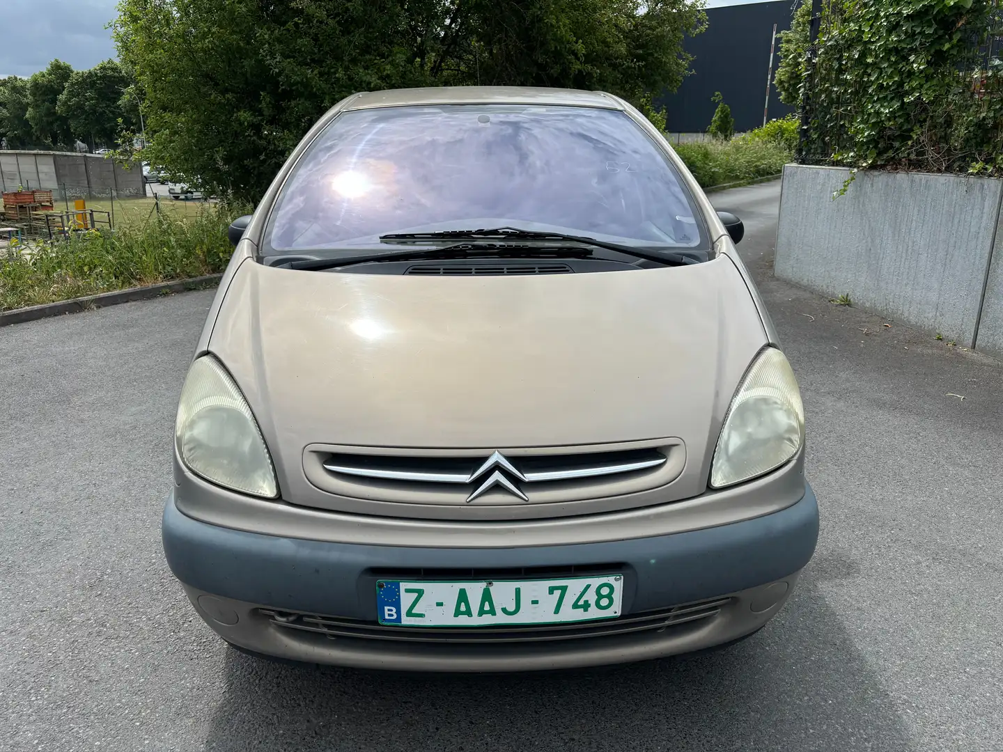 Citroen Xsara Picasso 1.6i Beige - 1