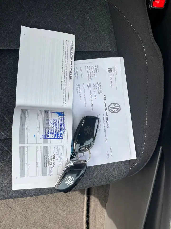 MG ZS 1.5 Hybrid+145 kWLuxury Automatik/Navi/Kamera 16